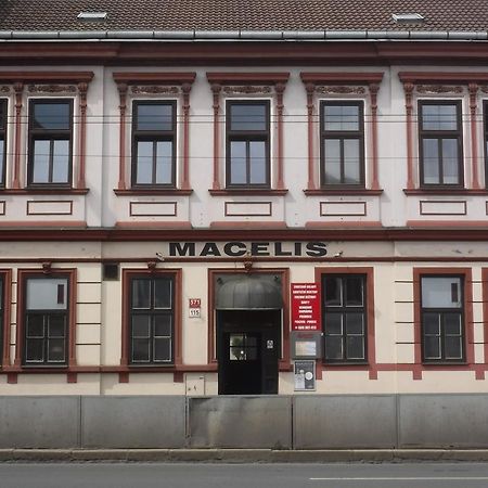 Pension Macelis Ceske Budejovice Extérieur photo